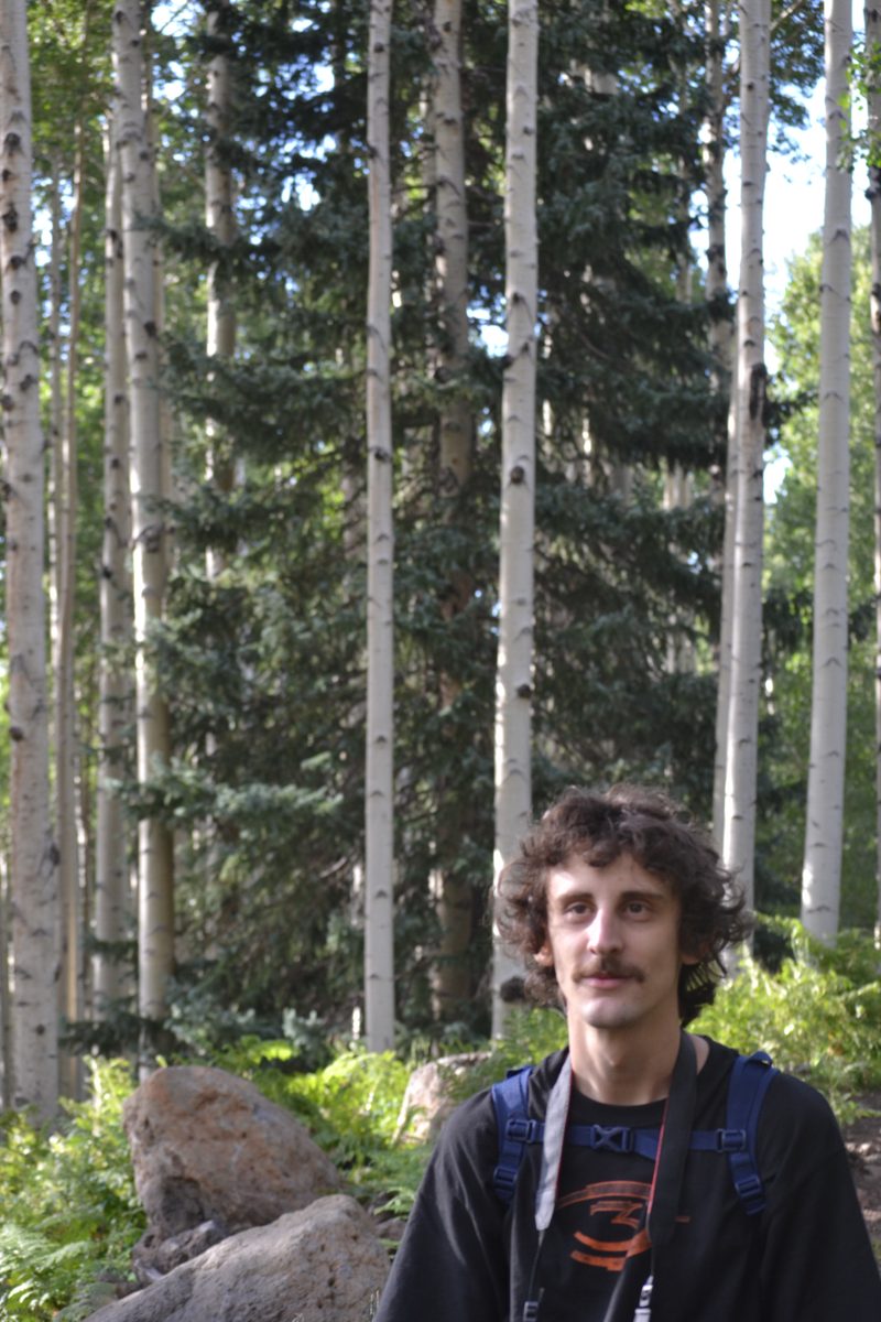 Emmett in an aspen grove near Flagstaff